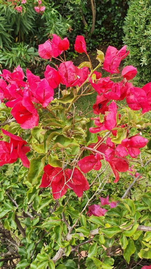 4 Stagioni Bed & Breakfast Villasimius Bagian luar foto